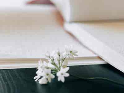 pexels-n-voitkevich-7488124